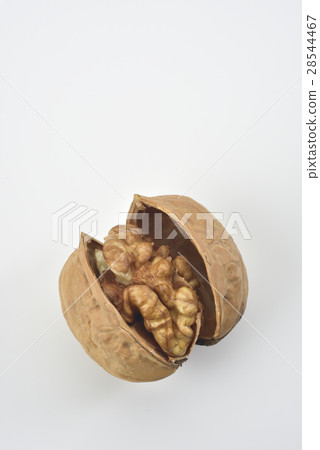 核桃 種子 核桃 種子 28544467