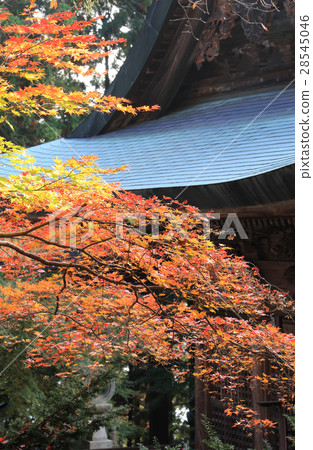 四國相似的第20佛15號“Chokoji寺”主要神社的秋葉 28545046
