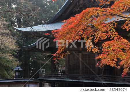 四國相似的第20佛15號“Chokoji寺”主要神社的秋葉 28545074