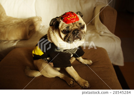 Setsubun Setsubun 28545284