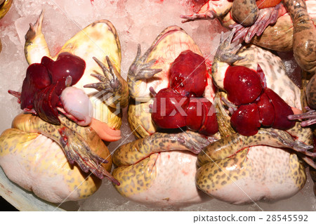 Raw frog placed on the market 28545592