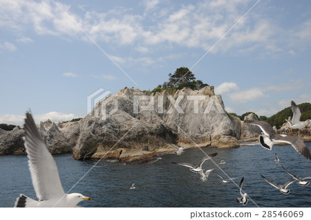 Sea of Sanriku 28546069