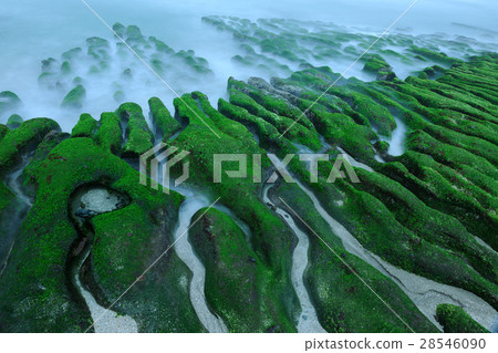 Coast rock old limestone trough 28546090