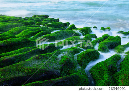 Coast rock old limestone trough 28546091