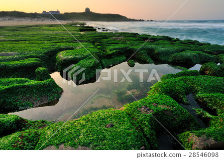 海岸岩石 老梅綠石槽 28546098