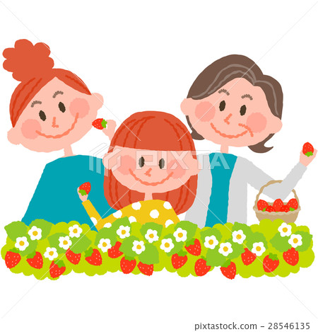 草莓採摘 28546135