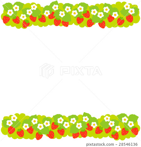 Strawberry  28546136