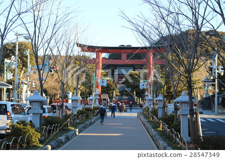 從早晨步驟看見的Tsurugaoka八幡宮鎌倉 28547349