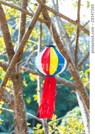 colorful paper lantern hanging on the tree colorful paper lantern hanging on the tree 28547389