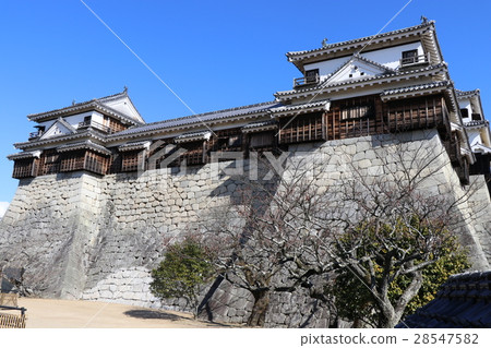 Iyo Matsuyama Castle 28547582