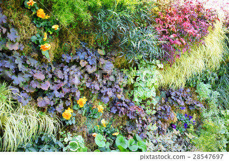 Wall greening　 28547697