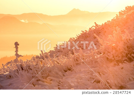 Bihoro Toge ice early morning (Bihoro Town) Bihoro Toge ice early morning (Bihoro Town) 28547724