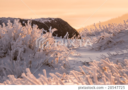 Bihoro Toge ice early morning (Bihoro Town) Bihoro Toge ice early morning (Bihoro Town) 28547725