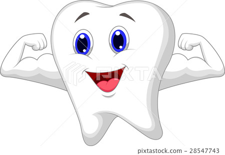 Strong tooth cartoon 28547743