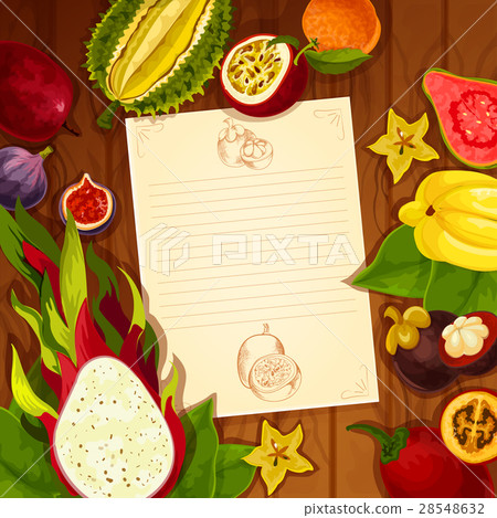 Exotic fruits vector recipe note blank 28548632