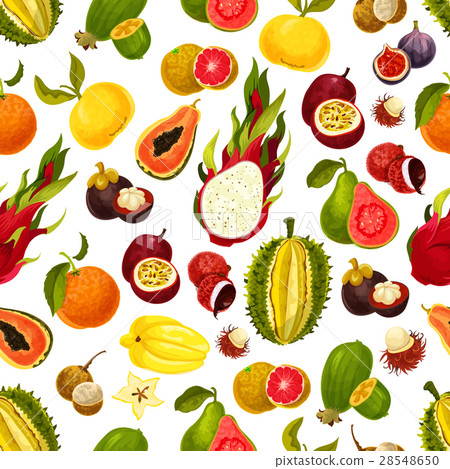 Exotic tropical fruits vector seamless pattern Exotic tropical fruits vector seamless pattern 28548650