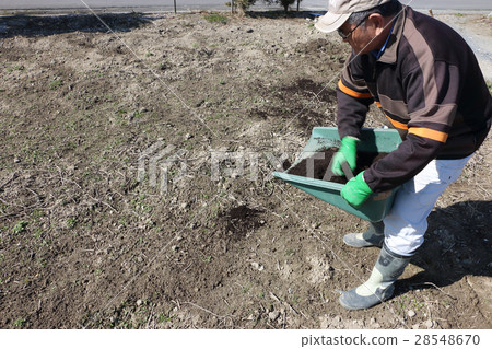 在田間製作土壤 在田間製作土壤 28548670
