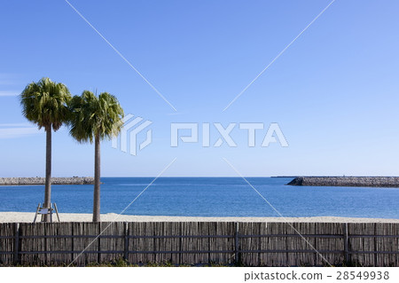 The beach in Miyazaki 28549938