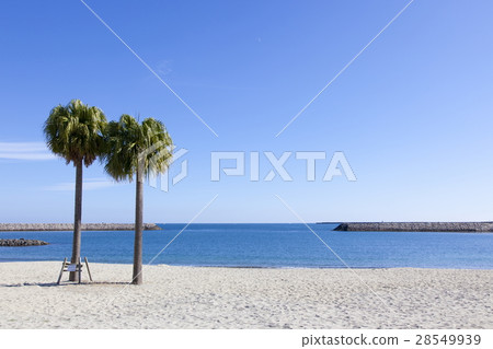 The beach in Miyazaki 28549939