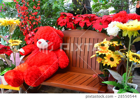 Teddy Bear 28550544