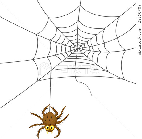 Spider web cartoon 28550705
