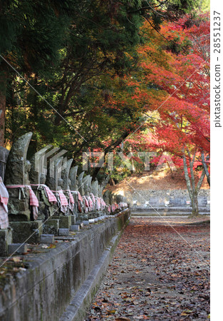 四國同樣的第20佛15號佛教“Chokenji寺”88寺石佛像石佛和秋葉 28551237