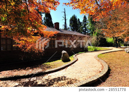 Autumn maple red Fushou Mountain 28551778