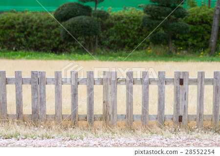 Cherry blossoms spreading on the ground 28552254