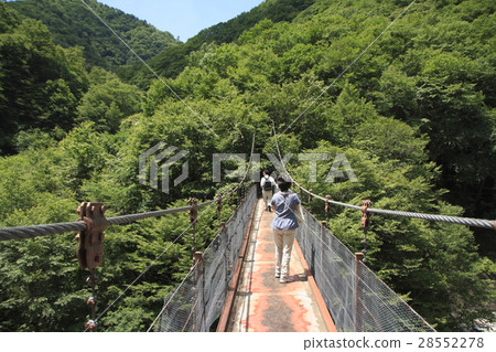 Nishizawa Valley (outward way: Nimata suspension bridge) 28552278