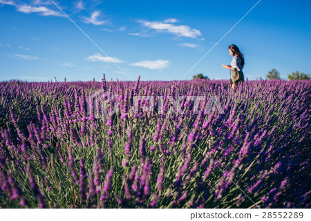 Back view of man in lavender 28552289