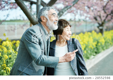 Cherry blossoms and old couple 28552598
