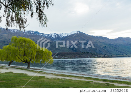 New Zealand Wanaka's Wanaka Lake 28552628
