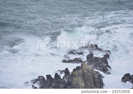 [Fukui Prefecture] Tojinbo and Anami in winter 28552808