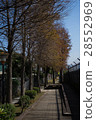 One of the streetscapes of Hanyu Song Road 28552969