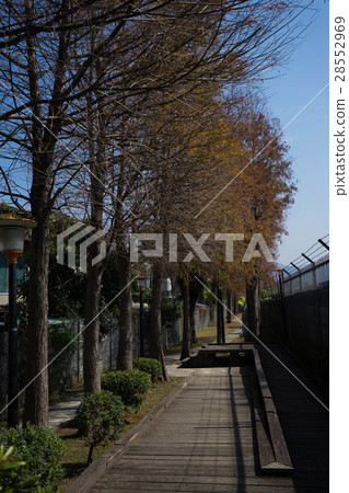 One of the streetscapes of Hanyu Song Road 28552969