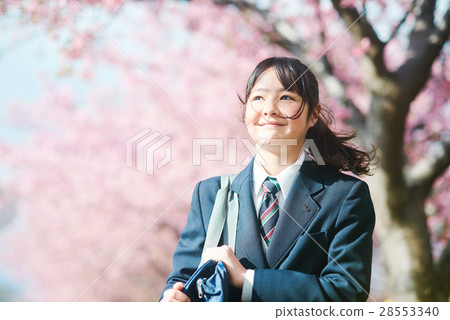 高中生和櫻花 28553340