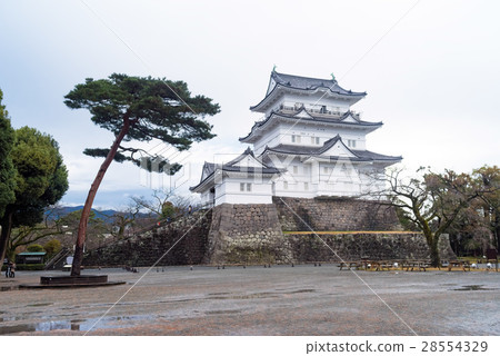 小田原城堡城堡塔 小田原城堡城堡塔 28554329