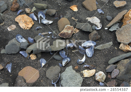 Seashore of the Atlantic ocean Seashore of the Atlantic ocean 28554387