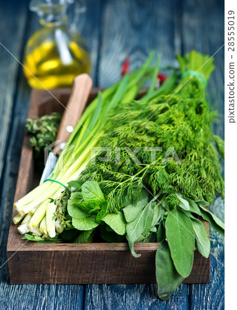 fresh greens 28555019