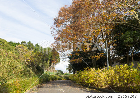 Aitaka廣域公園的小徑 Aitaka廣域公園的小徑 28555208
