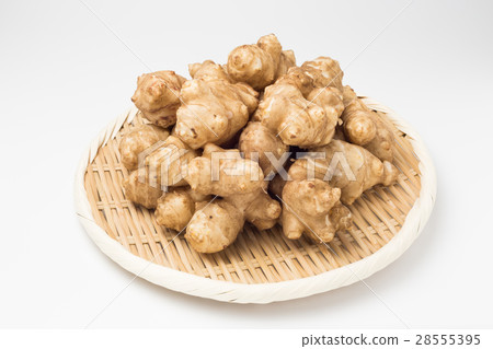 Jerusalem artichoke 28555395