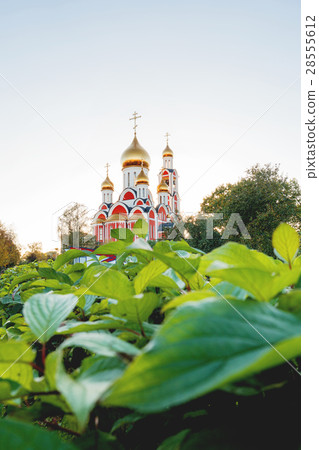 The Cathedral of St. George the victorious. Russia The Cathedral of St. George the victorious. Russia 28555612
