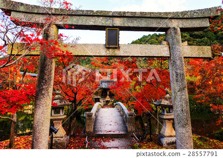 Eikando with autumn colors, Kyoto 28557791