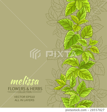 melissa vector background 28557827