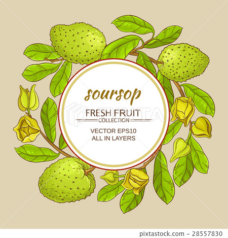 soursop tea vector frame 28557830