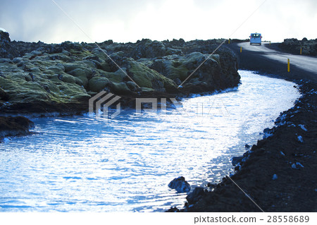Shuttle service to the Blue Lagoon, Iceland 28558689