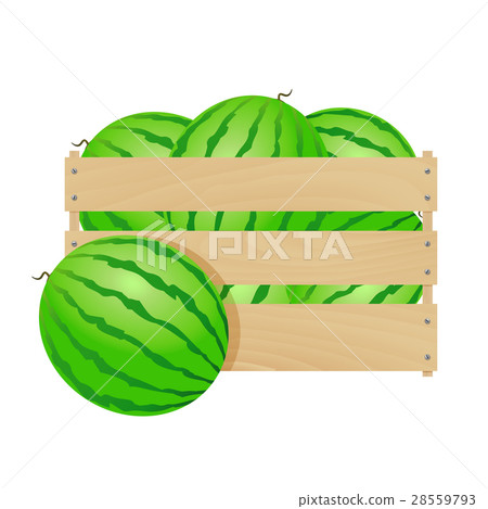 Watermelon in wooden box 28559793