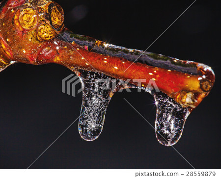 Icicles 28559879