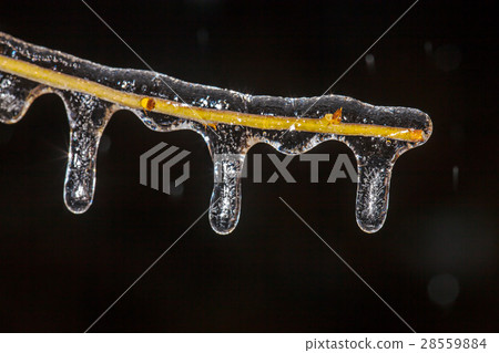 Icicles 28559884
