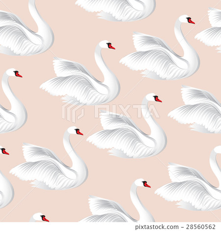 Seamless pattern with white bird swan. 28560562